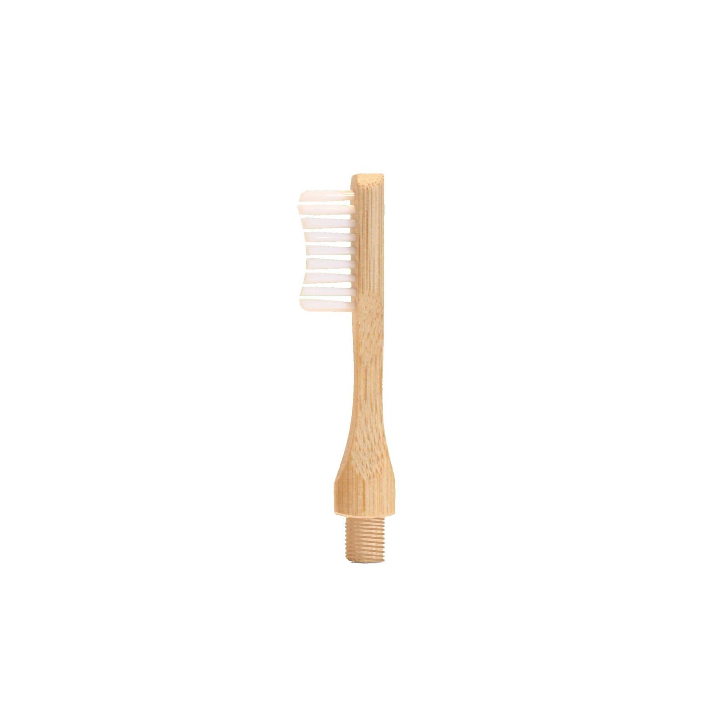 Spazzolino da denti in bambù con testina intercambiabile - Bebellabio